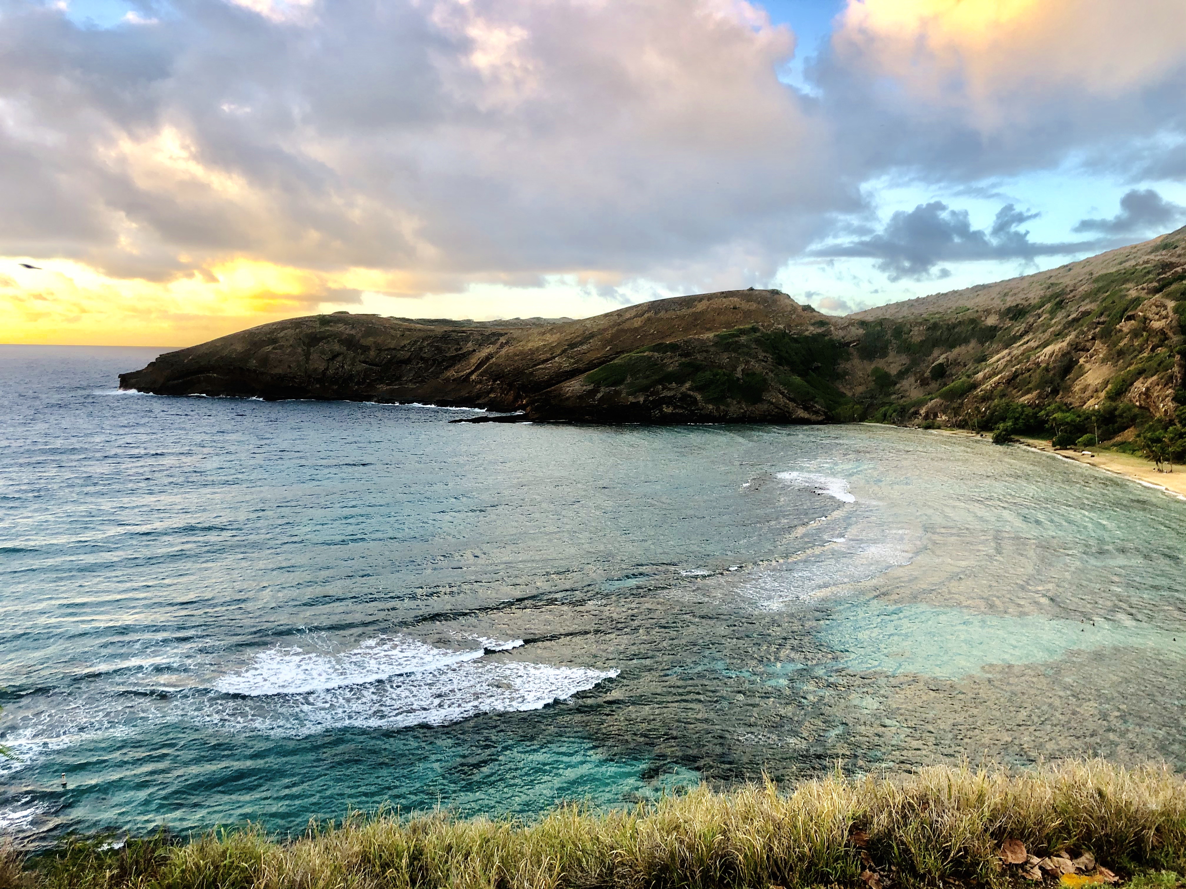 Snorkle Spot