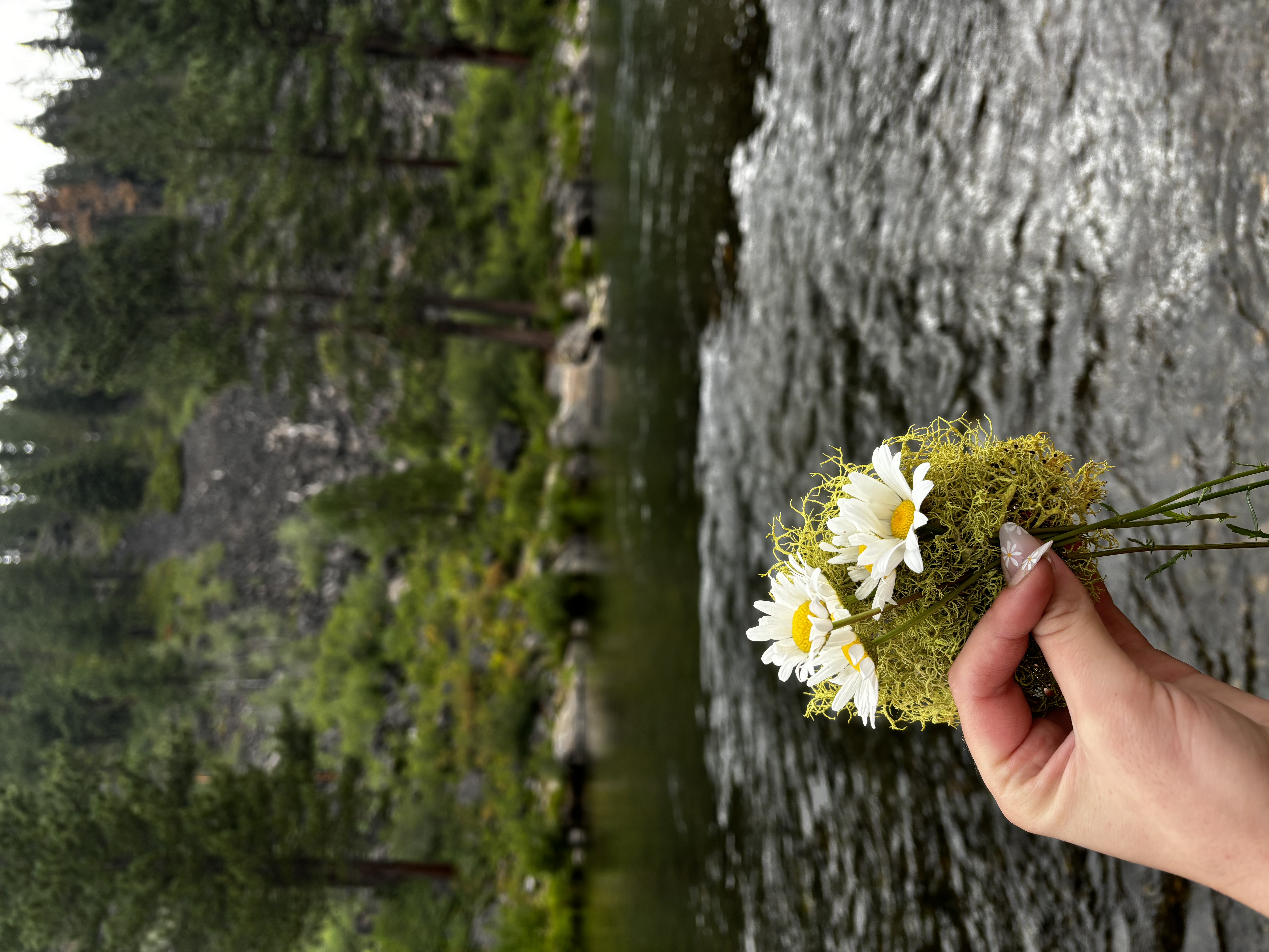 Flowers and Moss